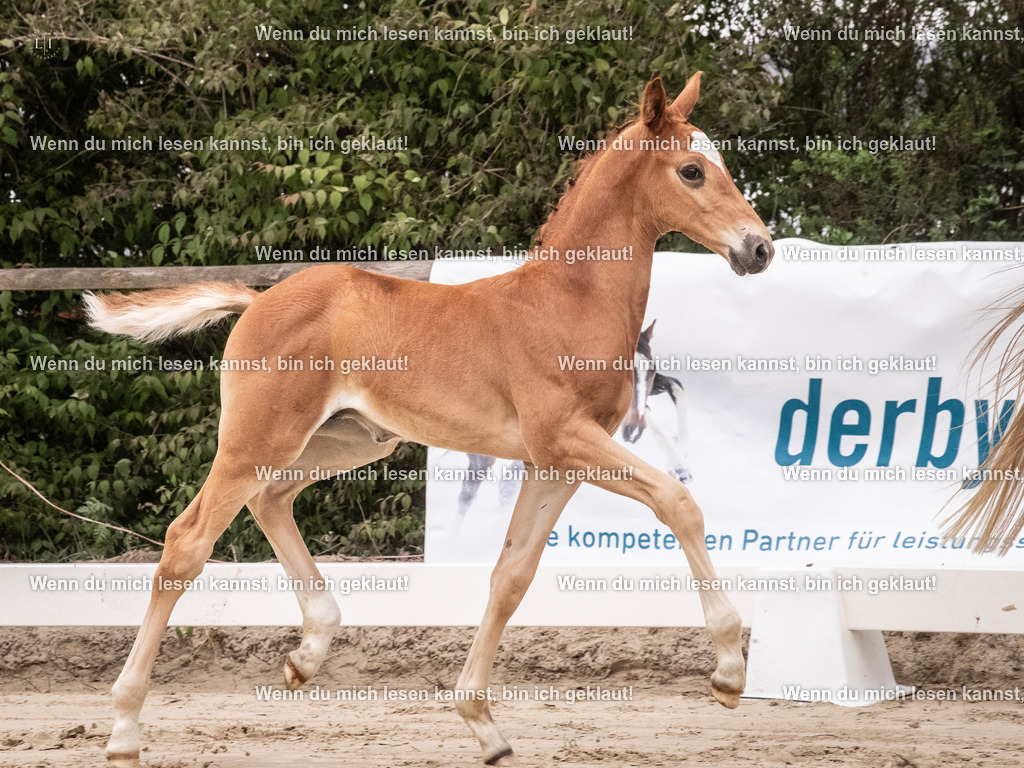 A10I9426 | photographylinaismer - Realisiert mit Pictrs.com