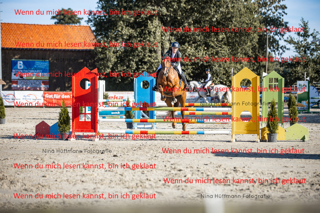 BK1A7624 | Turnierbilder Turnierfotos Nina Hüffmann Turnierfotografie Pferdefotografie Tierzeichnung Haustierzeichnung Pferdezeichnung Hundezeichnung Videograf  - Realisiert mit Pictrs.com