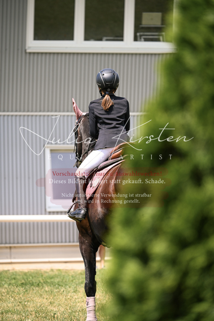DSC_9356 | Pferde- und Turnierfotografie in Westsachsen. Pferdeportraits, Auftragszeichnungen und intuitive Kunst.