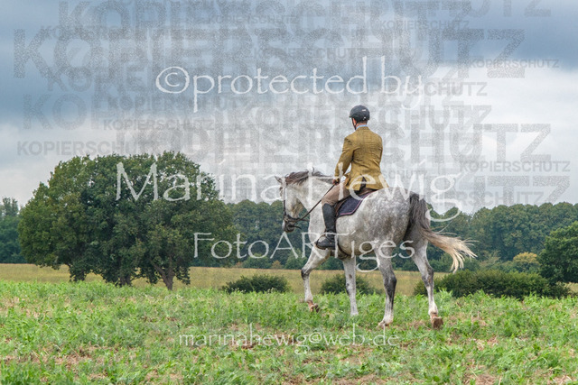 Jagd Perdoel_MarinaHewigDSCF3838 | Fotografie, FotoArt, PferdesportArt, Pferdesportfotografie, Landschaftsfotografie, Reisefotografie, Reise, Pferde - Realisiert mit Pictrs.com