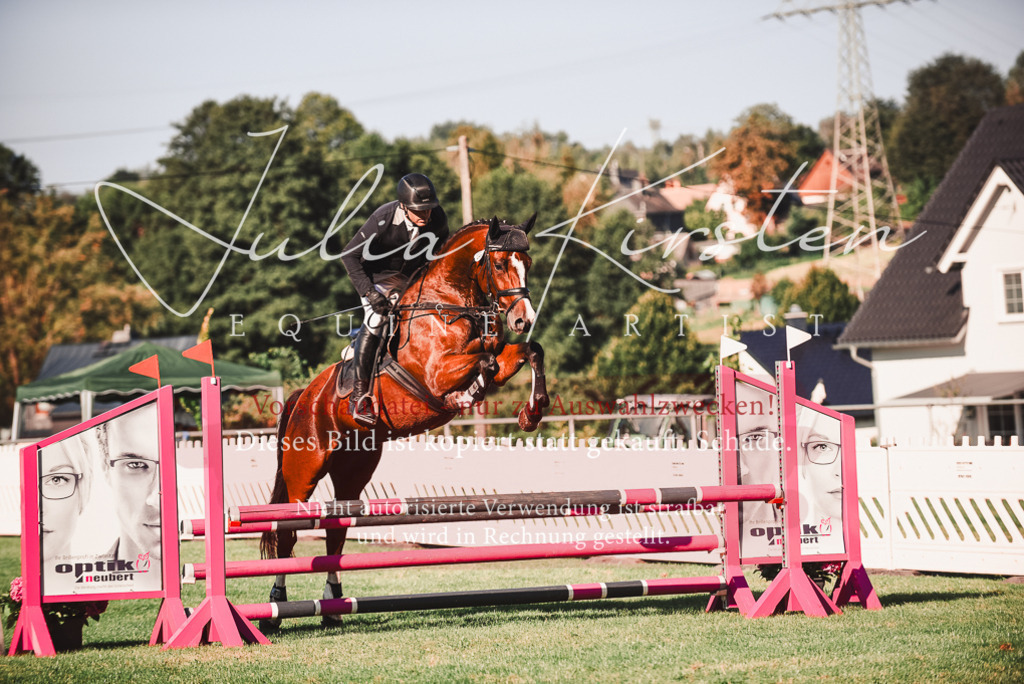 DSC_2201 | Pferde- und Turnierfotografie in Westsachsen. Pferdeportraits, Auftragszeichnungen und intuitive Kunst.