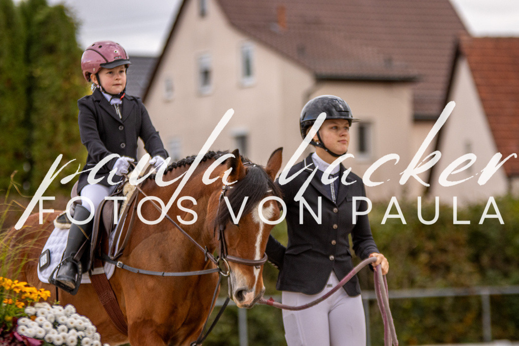 IMG_3953 | Erleben Sie dynamische Sport- und emotionale Tierfotografie in Süddeutschland mit Fotos von Paula. Spezialisiert auf Pferde- und Hundefotografie sowie Sportevents. Kontaktieren Sie mich für einzigartige und ausdrucksstarke Bilder Ihrer besonderen Momente. - Realisiert mit Pictrs.com