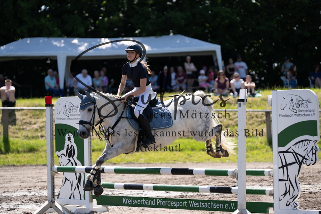 A7V03326 | Pferdefotograf