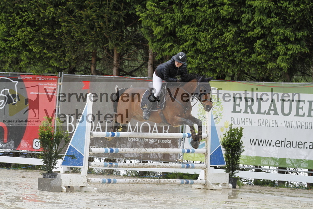 _MG_1166 | equestrian-live-com
