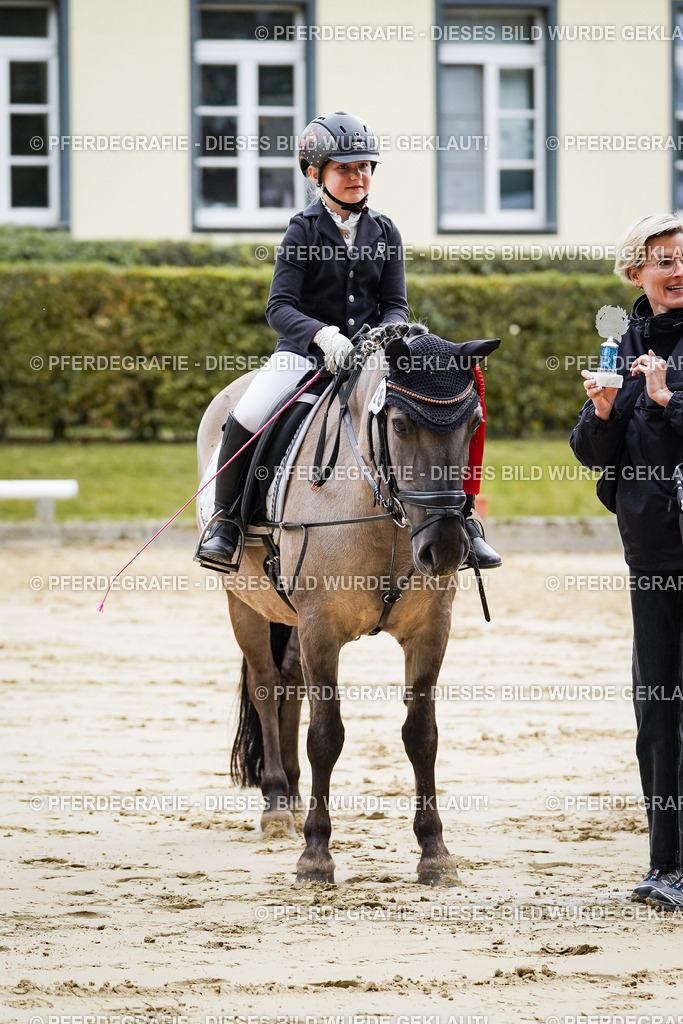 DSC05762 | Pferdegrafie