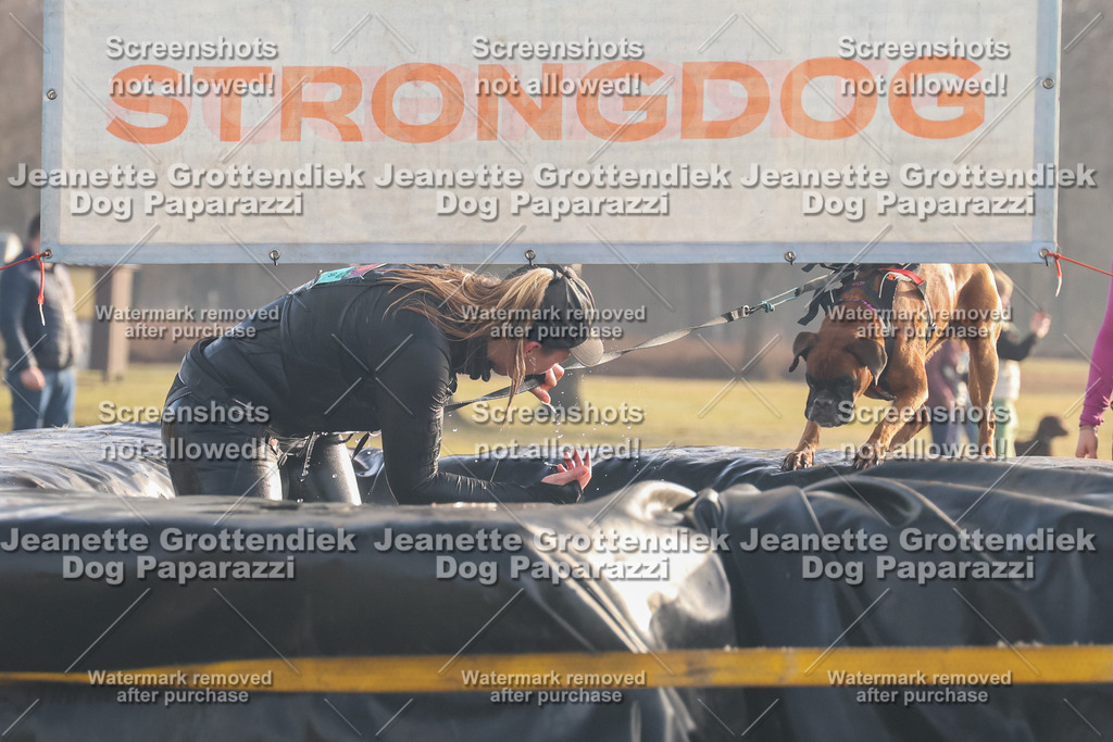 Dog Paparazzi - SD North 0326 900930-47 | Dog Paparazzi Jeanette Grottendiek Fotografie & Videografie - Realisiert mit Pictrs.com