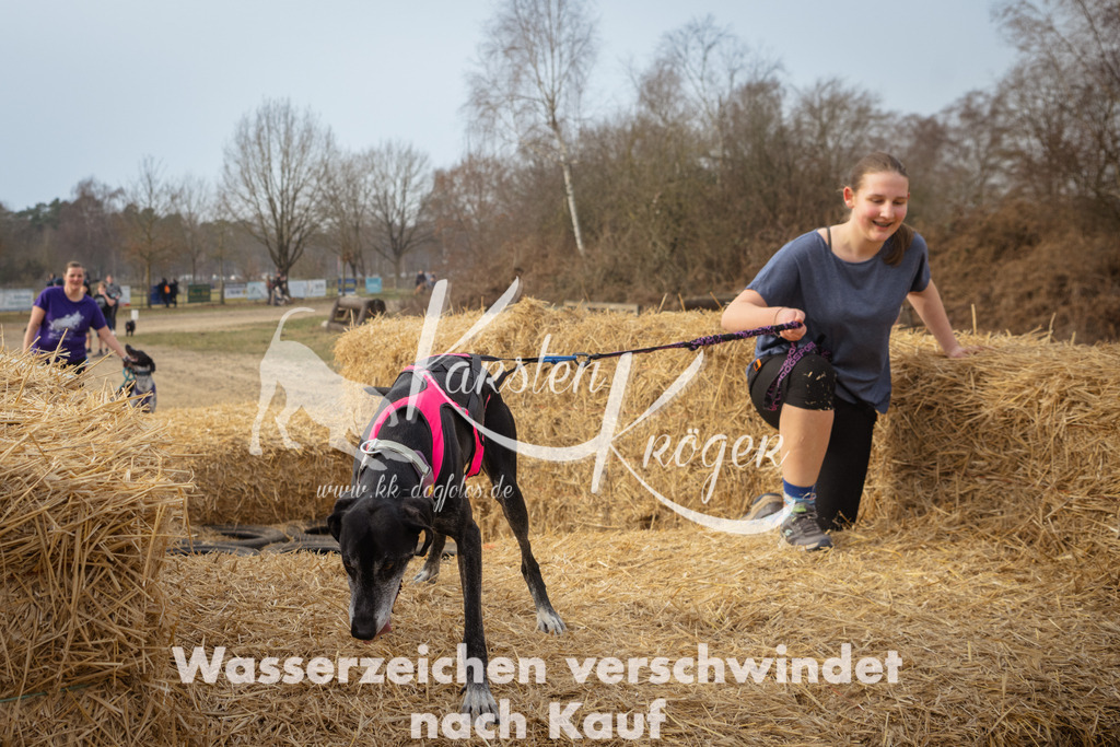 1039_ZZ97295 | kk-dogfotos