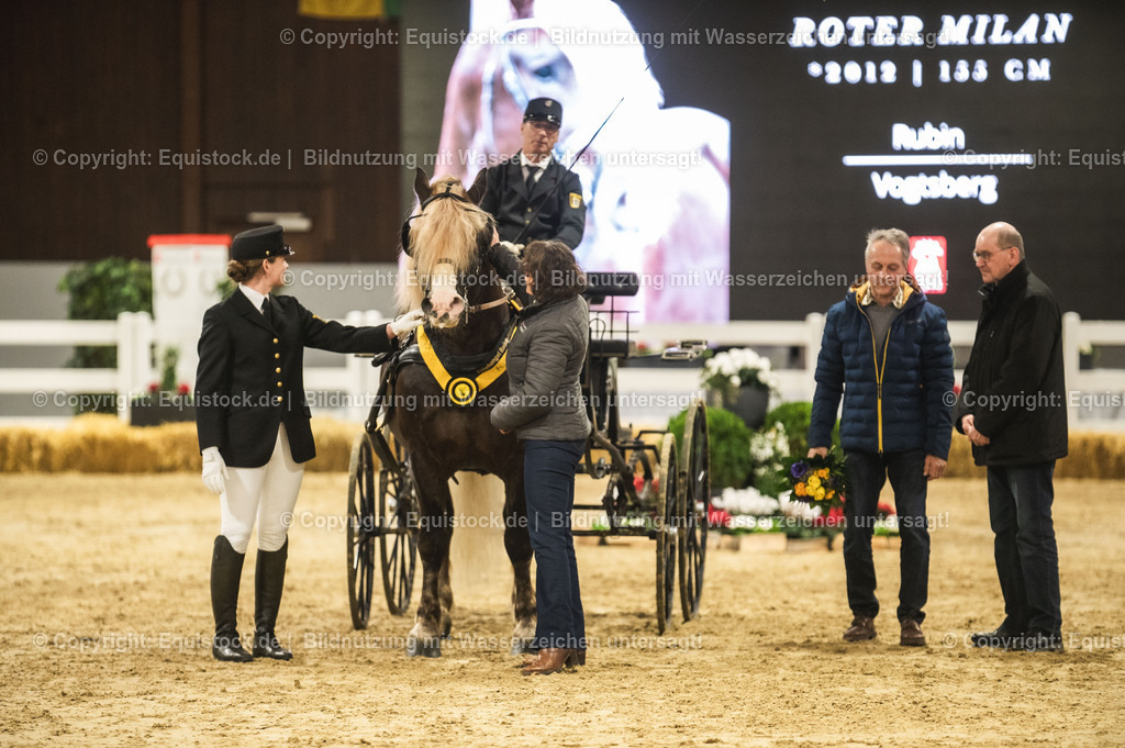 20240302_Hengstvorstellung_Marbach_TOMsPiC_0663 | equistock