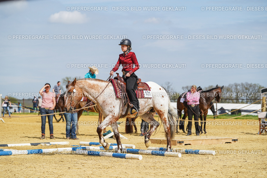 DSC04449 | Pferdegrafie