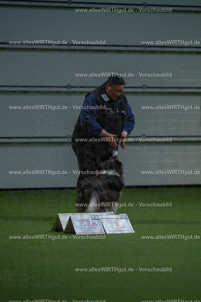 7R500291 | Professionelle Tierfotografie in Mönchengladbach von Daniel Wirth (allesWIRTHgut). Liebevolle & natürliche Bilder von Hunden & Katzen für unvergessliche Erinnerungen.