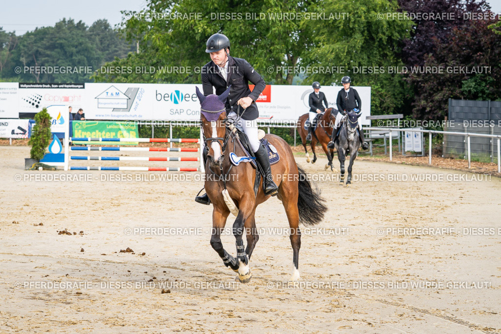 DSC09170 | Pferdegrafie