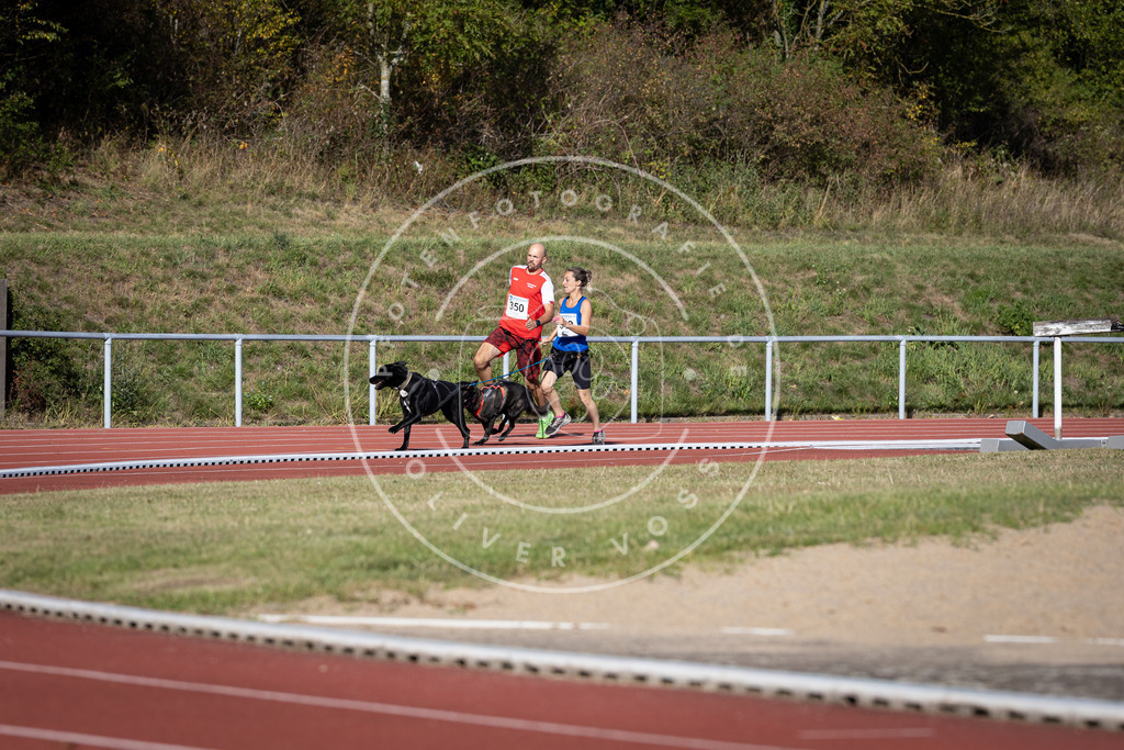Pfotenfotografie_DV3A9360 | Hundefotografie, Tierfotograf, Pfotenfotografie, Fotoshooting Hund, Hunde Portrait, Hundesport, Hundeportraits, Heideshooting, Hunde, Sportfotograf, Hundefotograf, Turnierhundsport, THS,  - Realisiert mit Pictrs.com