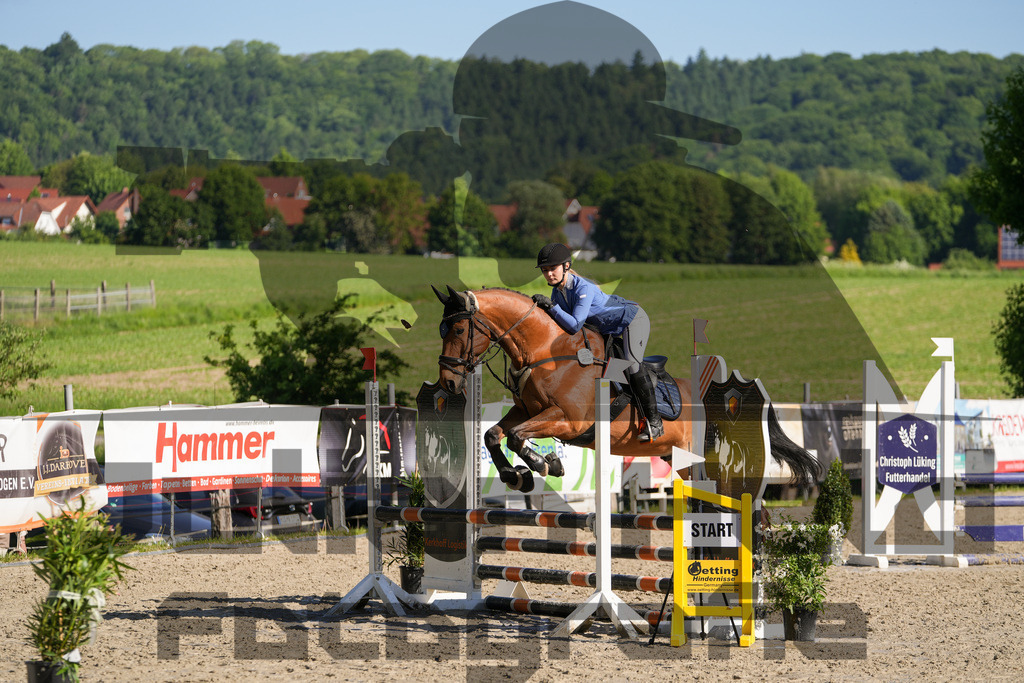 DSC02025 | Julian Held Fotografie - Realisiert mit Pictrs.com