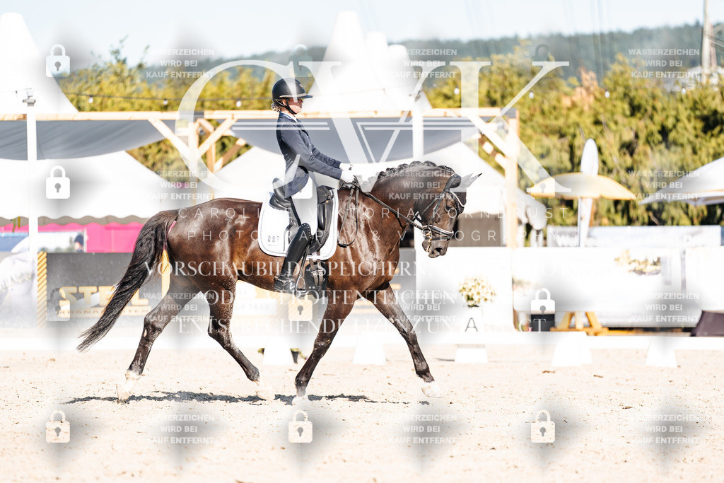 CK907764 | Turnierfotografie Pferdefotografie Trier Rheinland-Pfalz Pferdesport Reitsport Tierfotografie Sportfotografie Pferdevideo Pferdevideografie Equestrianvideography equestrianphotography  - Realisiert mit Pictrs.com