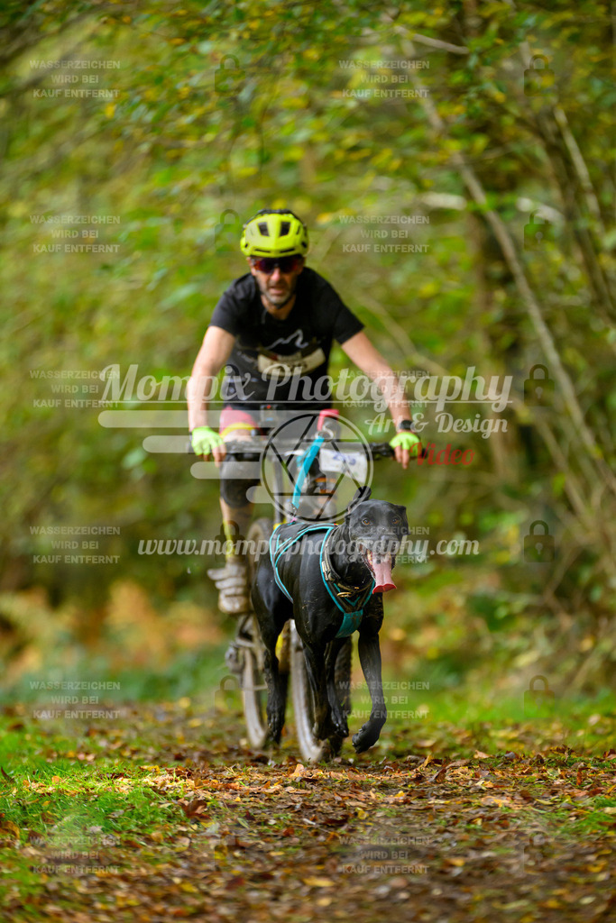MompixPhotography_20TSB_E1_Bike-31 | PayLife
