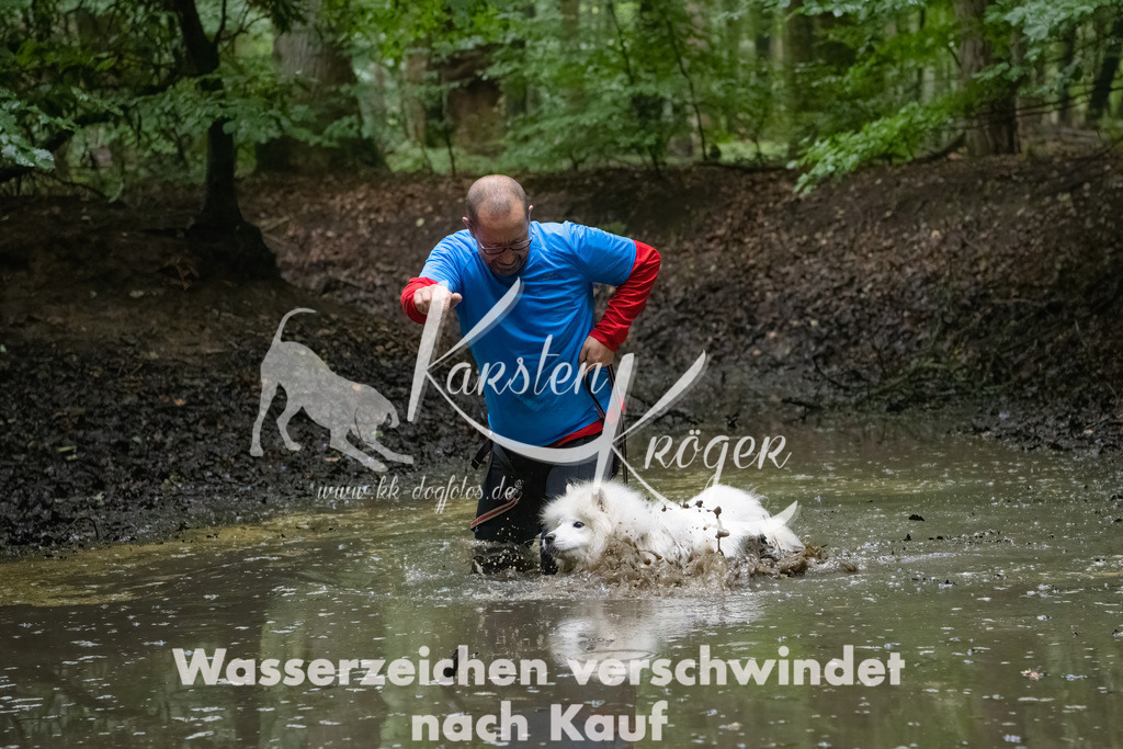 0936_ZZ90848-Bearbeitet | kk-dogfotos