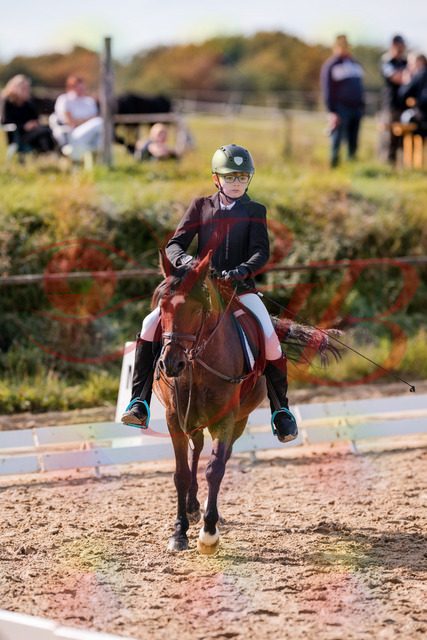 2026_10_03_Siefer-Hof_122316_Z81_23404481 | Professionelle Reitsport-, Turnier- und Eventfotografie von Robert Broda. Galerien mit ausgewählten und bearbeiteten Bildern direkt online ansehen und bestellen.