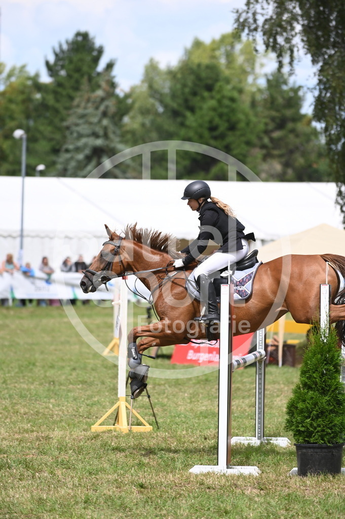 DSC_6375 | sattelsport - Realisiert mit Pictrs.com