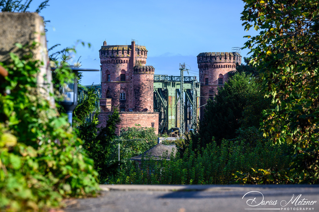 DSC_6990 | Fotografien, Fotos und Bilder aus Mainz, Frankfurt, Wiesbaden und anderen Orten auf der Welt - Fotografiert von Darius Metzner