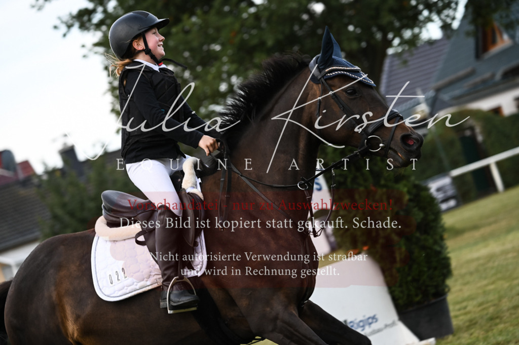 DSC_5598 | Pferde- und Turnierfotografie in Westsachsen. Pferdeportraits, Auftragszeichnungen und intuitive Kunst.