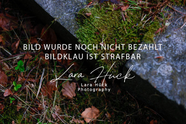 _62_3340 | larahueckfotografie