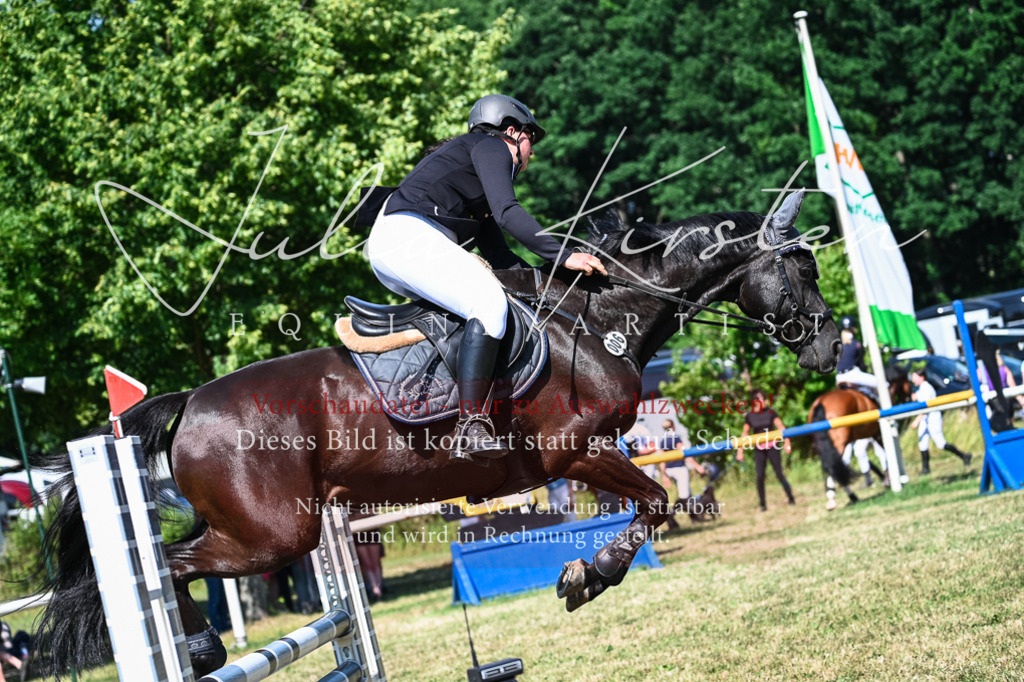 DSC_1621 | Pferde- und Turnierfotografie in Westsachsen. Pferdeportraits, Auftragszeichnungen und intuitive Kunst.