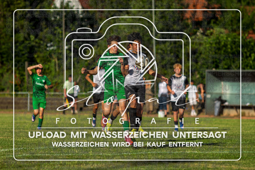 SVSTSV-1035 | Fotografie Stopat - Realisiert mit Pictrs.com