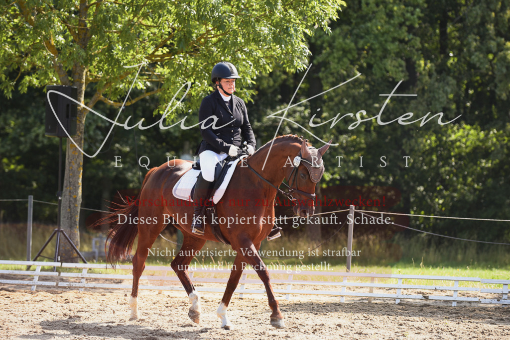 DSC_0514 | Pferde- und Turnierfotografie in Westsachsen. Pferdeportraits, Auftragszeichnungen und intuitive Kunst.