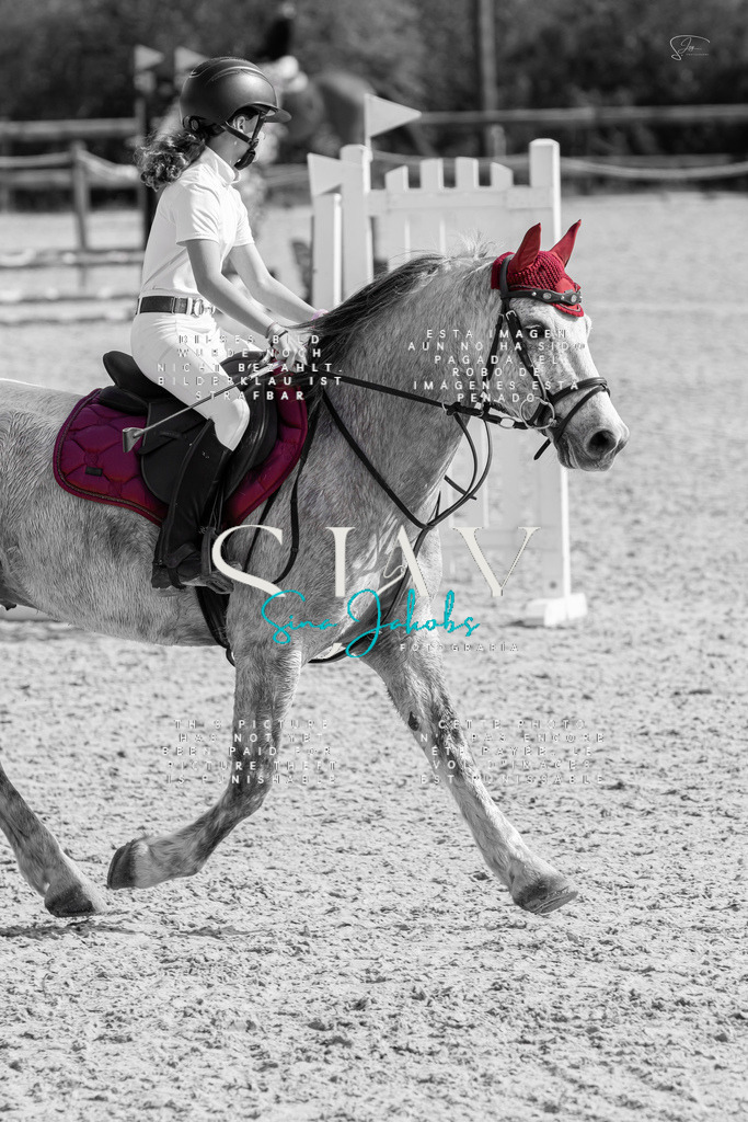 IMG_4339-2 | s-jay-photography - Realisiert mit Pictrs.com