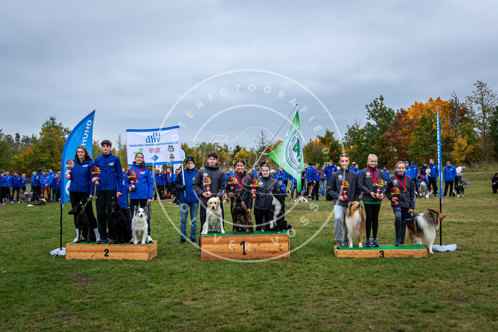 Pfotenfotografie_0L8A0694 | Hundefotografie, Tierfotograf, Pfotenfotografie, Fotoshooting Hund, Hunde Portrait, Hundesport, Hundeportraits, Heideshooting, Hunde, Sportfotograf, Hundefotograf, Turnierhundsport, THS,  - Realisiert mit Pictrs.com