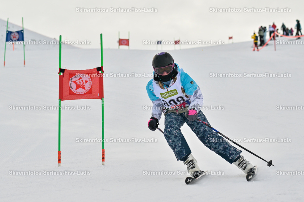 SRS_02.01.2026_0502 | SRS_02.01.2026_0502 - Realisiert mit Pictrs.com