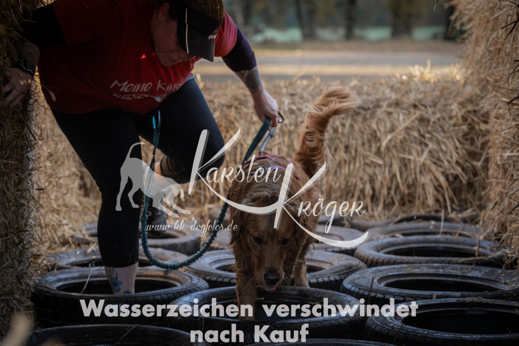 0951_ZZ95189 | kk-dogfotos