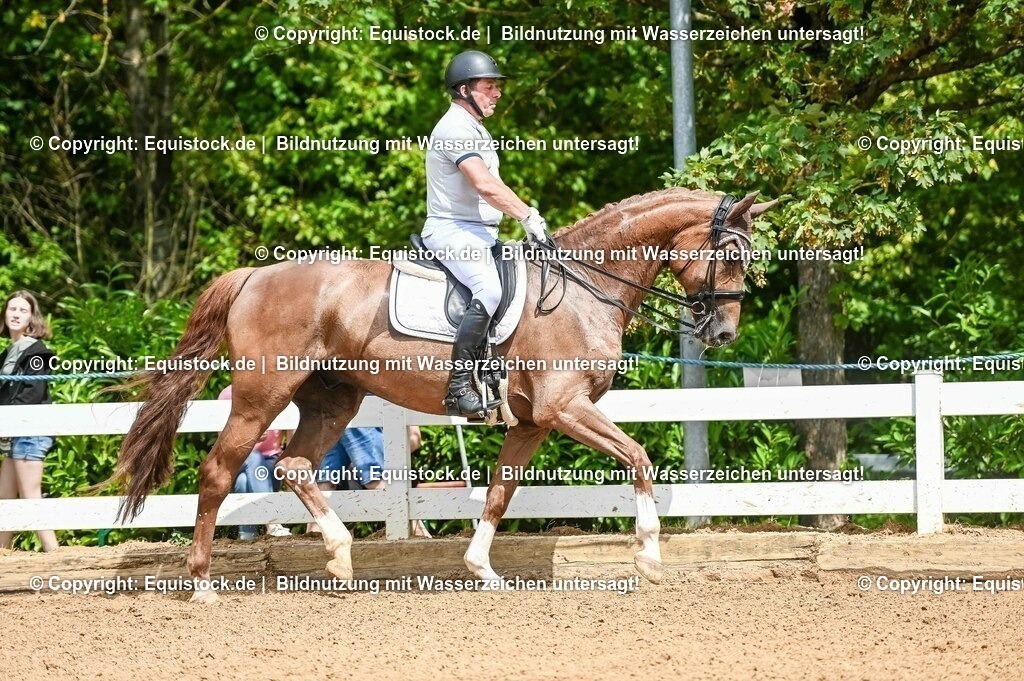 20230716_01_Dressurprüfung Kl.M_0083 | equistock