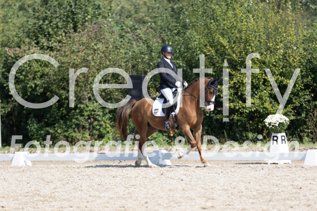 IMG_4876 | Creatify Fotografie