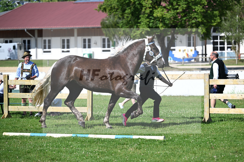 Kat-Nr. 8 Franzi v. Variano_Walter_18250124 | hf-fotografie - Realizzato con Pictrs.com
