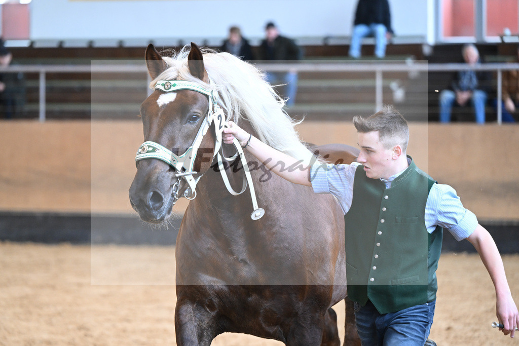Kat-Nr. 2 v. Dirill_Wittmann_2230177 | hf-fotografie - Realisiert mit Pictrs.com