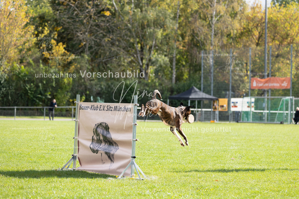 _16A6907 | Einzigartige Fotos von Hunden & Menschen –Actionfotos, Portraits, Vereinsaufnahmen & Paarshootings – authentisch, lebendig & mit Herz.