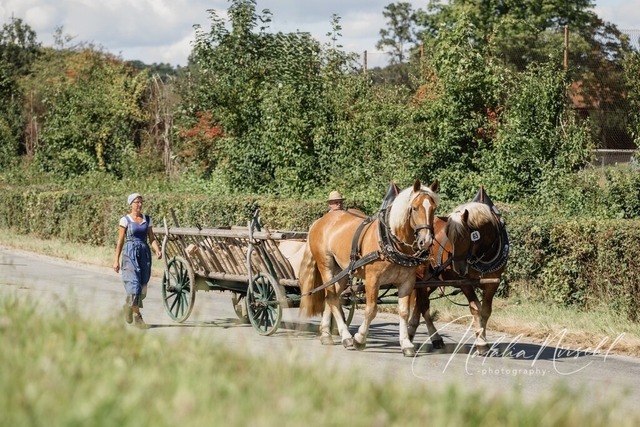 7V6A2061 | natalia-nirschl-photography