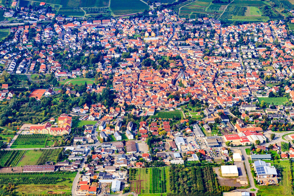 Luftbild: Ortsansicht von Osten in Freinsheim im Bundesland Rheinland-Pfalz in Deutschland. Foto: IMG_34367.jpg vom 03.10.2010 durch Werner Riehm/FLY-FOTO.deAuflösung des Originals: 4752 x 3168 px