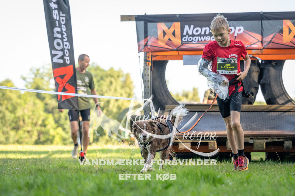 0900_ZZ90040 | kk-dogfotos