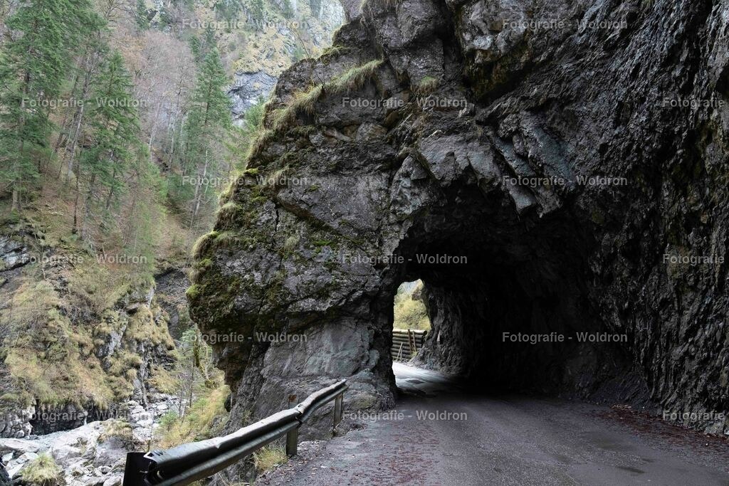 20221109 Rappenlochschlucht Dornbirn-2 | Fotografie Woldron