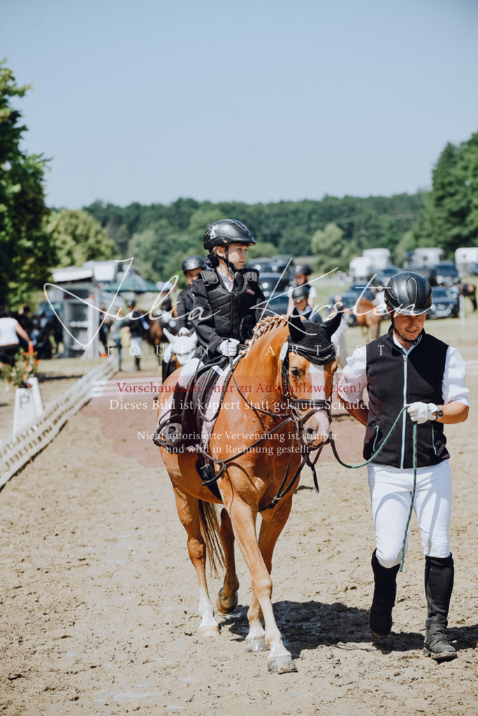 DSC_2431 | Pferde- und Turnierfotografie in Westsachsen. Pferdeportraits, Auftragszeichnungen und intuitive Kunst.
