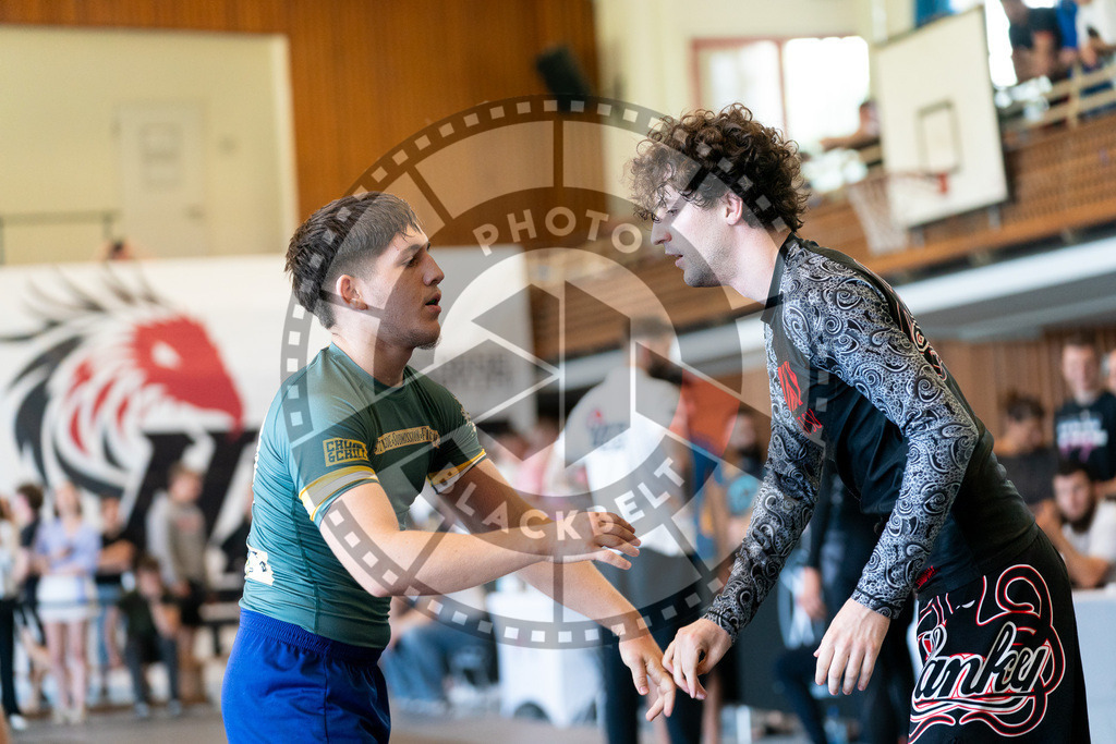 20250628PBB3079 | Athletes compete during the ILLCS X, International Luta Livre Championship Summer Edition on June 28, 2025 in Hannover, Germany. © Chiara Dazi / photoblackbelt