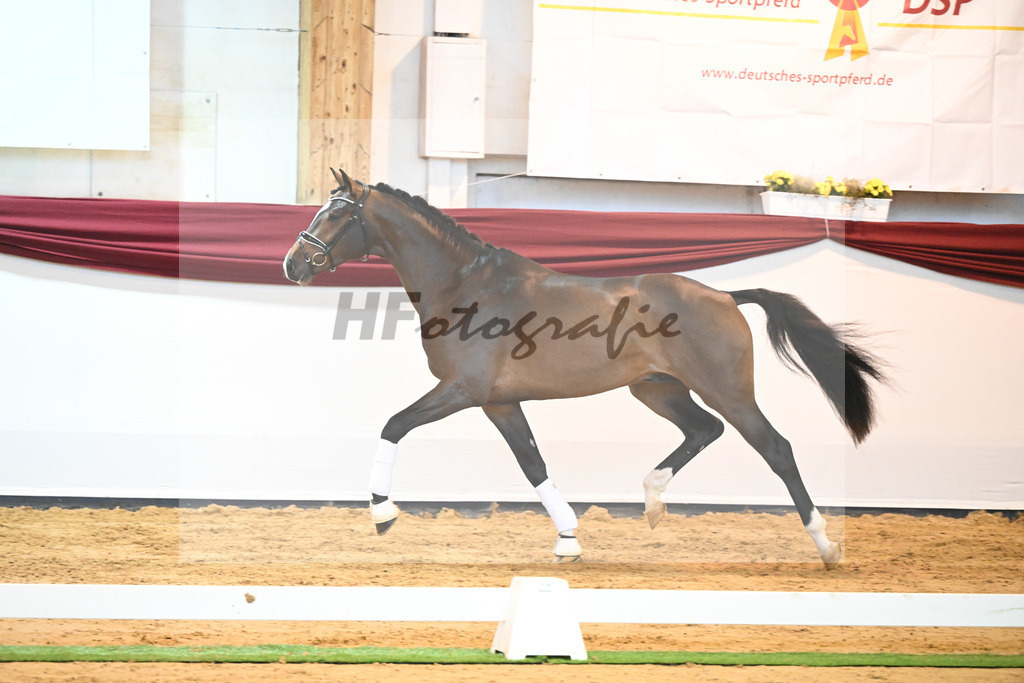 Kat-Nr. 59 v. Zalando_Kuntz_66222222 | hf-fotografie - Realisiert mit Pictrs.com