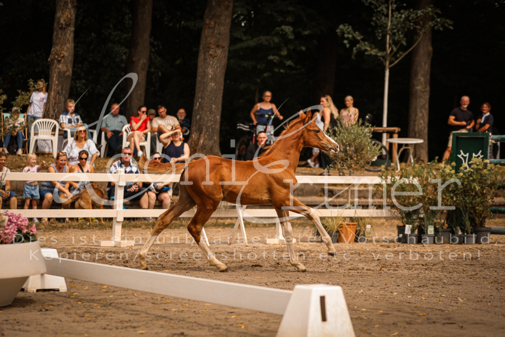 SaPA00153 | Leoni Ertmer Photography - Realisiert mit Pictrs.com