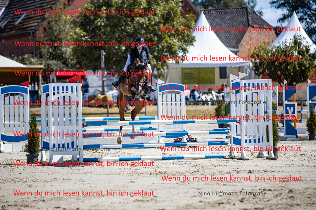 BK1A5369 | Turnierbilder Turnierfotos Nina Hüffmann Turnierfotografie Pferdefotografie Tierzeichnung Haustierzeichnung Pferdezeichnung Hundezeichnung Videograf  - Realisiert mit Pictrs.com