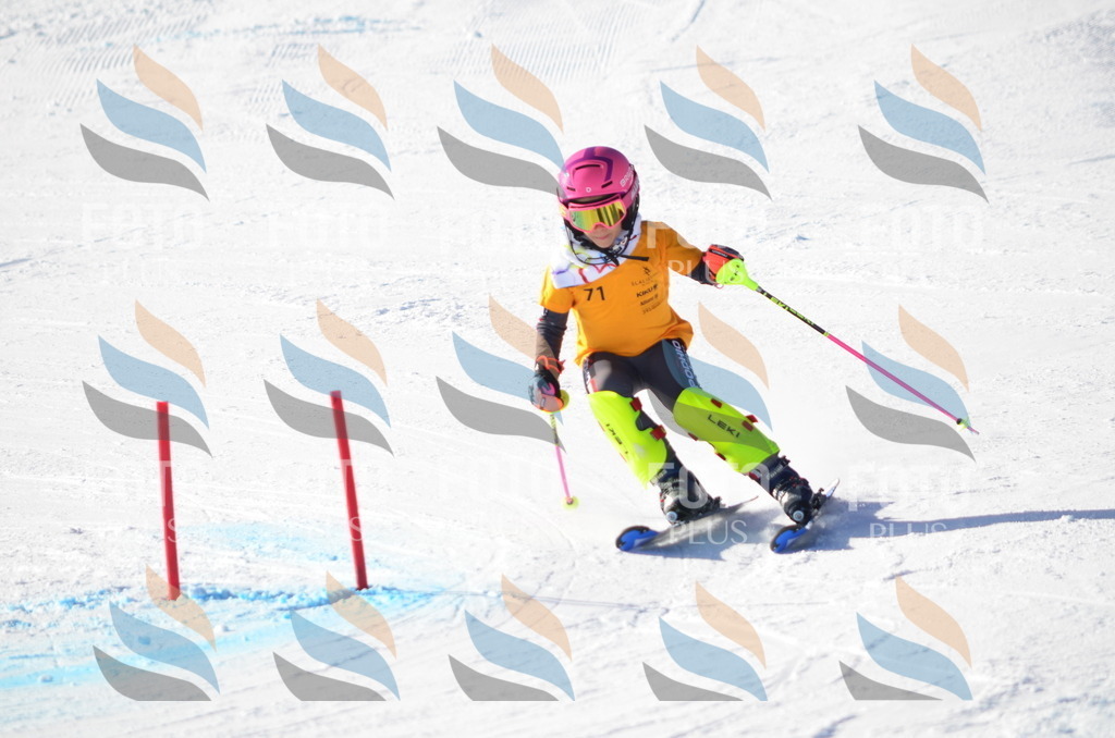 C5889 | holidayphoto