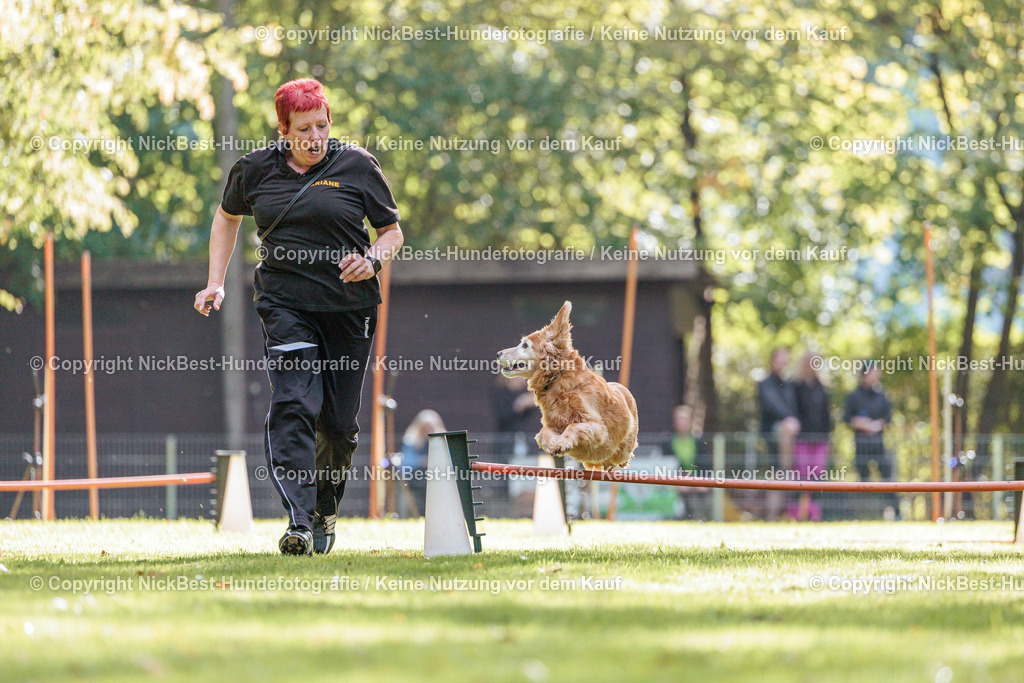 THS-HSV-Blumenthal-2026-Nickbest-Hundefotografie-3271 | Dein Hund! Dein Moment! Deine Erinnerungen! Hundefotografie in Bremen Blumenthal. Ich fange die besonderen Momente deines Vierbeiners ein – ob Indoor mit Blitzanlage oder in der freien Natur. Sicher dir dein Moment und dein Termin für eure Erinnerungen.