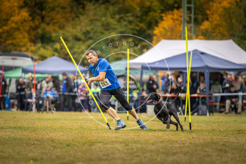 Pfotenfotografie_DV3A2411 | Hundefotografie, Tierfotograf, Pfotenfotografie, Fotoshooting Hund, Hunde Portrait, Hundesport, Hundeportraits, Heideshooting, Hunde, Sportfotograf, Hundefotograf, Turnierhundsport, THS,  - Realisiert mit Pictrs.com