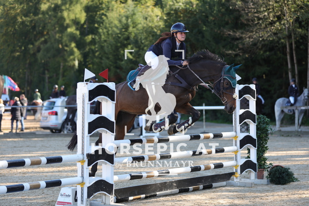 0P6A0251 | Willkommen bei Brunnmayr - Design & Fotografie – Ihrem Spezialisten für Reitturniere und Pferdeveranstaltungen in Oberösterreich, Salzburg und Bayern! Seit über 17 Jahren sind wir leidenschaftlich dabei.